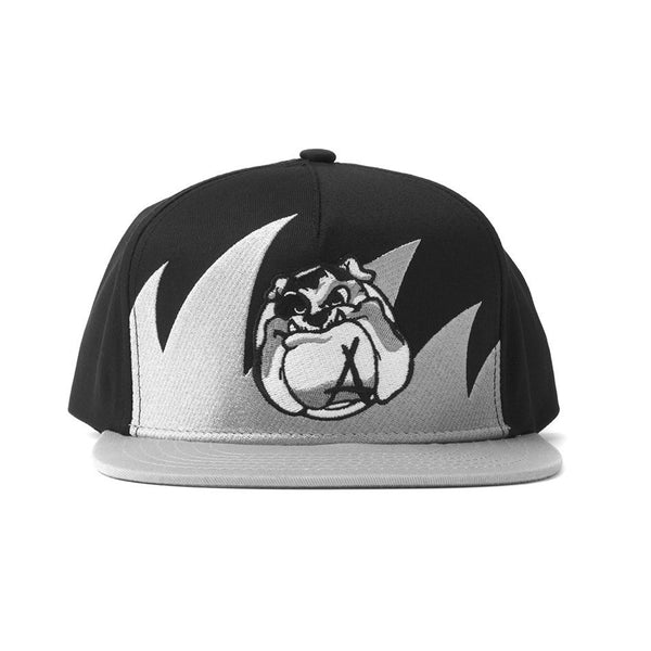 Waves Snapback