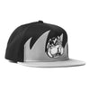 Waves Snapback