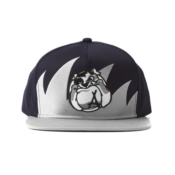 Waves Snapback
