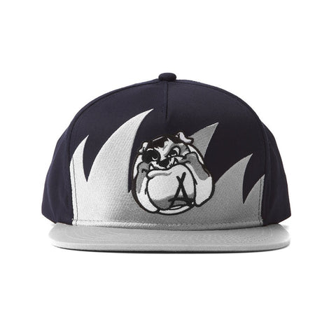Waves Snapback