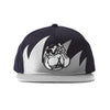 Waves Snapback