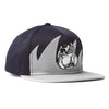 Waves Snapback